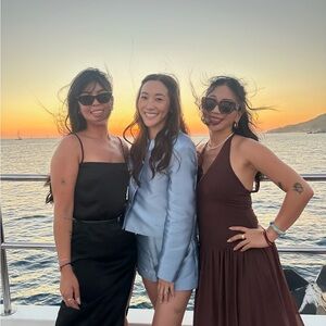 Reformation Black, Blue, and Brown Dresses